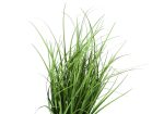 23  Tall, Artificial Plant, Grass, Indoor, Faux, Fake, Table, Greenery, Potted, Real Touch, Decorative - Green   Black Online Sale